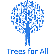trees for all teambuilding Peterborough